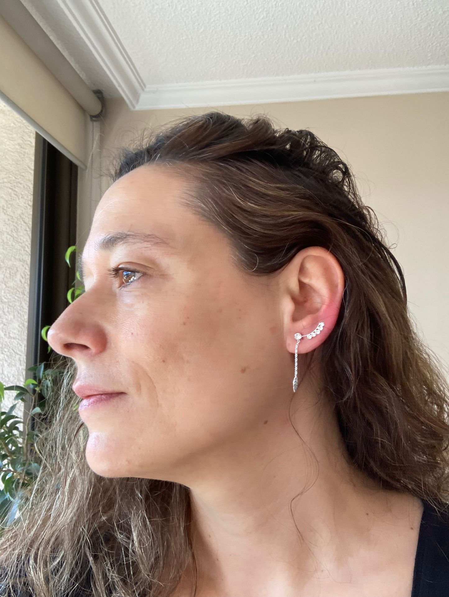 Trepadoras hoja colgante